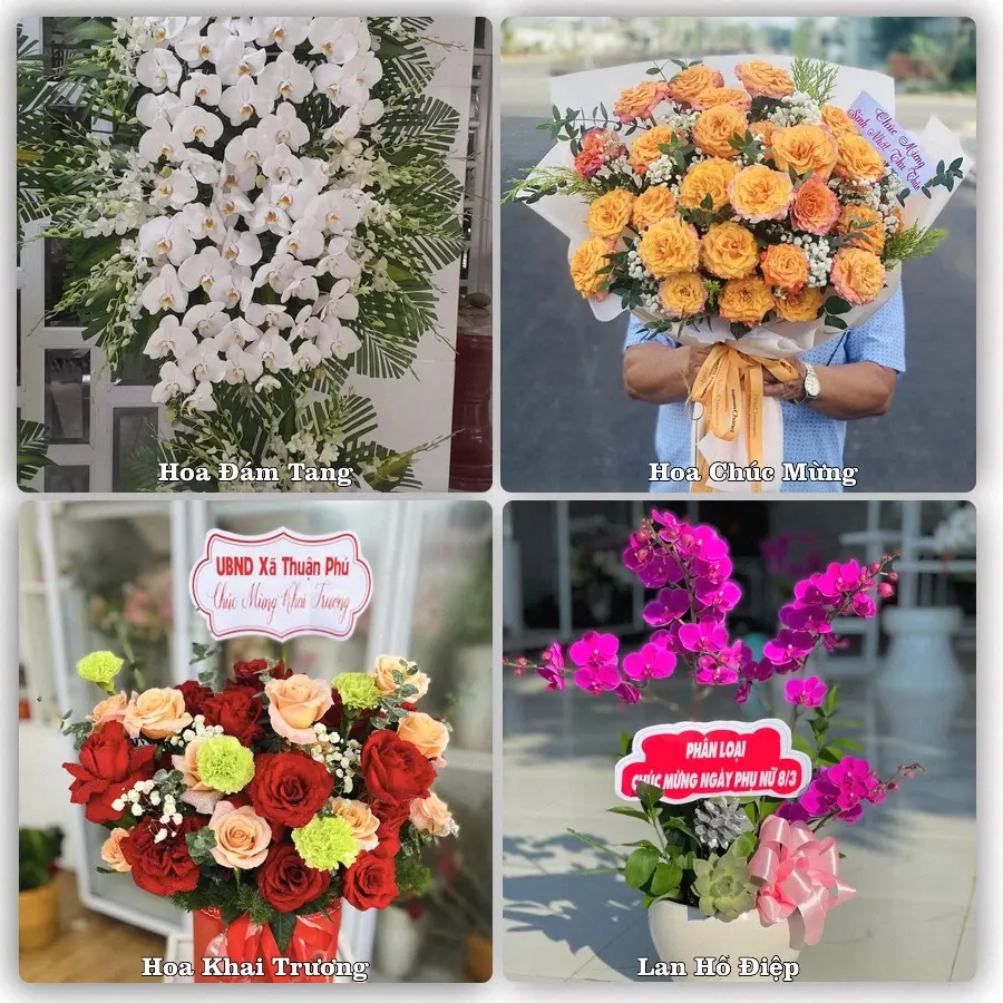 Dịch vụ đặt hoa và giao tận nơi tại Xã Hà Đông - Thành phố Hải Phòng
