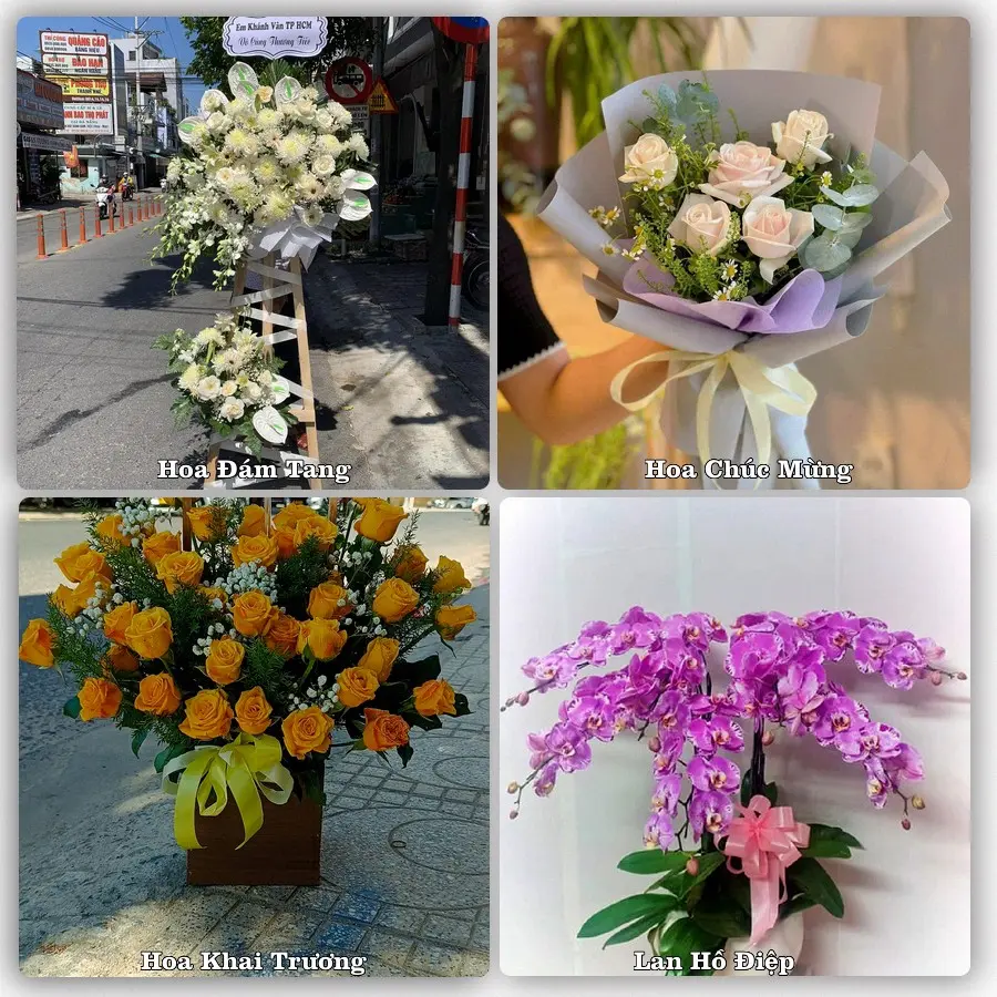 Tư vấn chọn hoa theo người nhận và dịp tặng tại Xã Hà Đông - Thành phố Hải Phòng