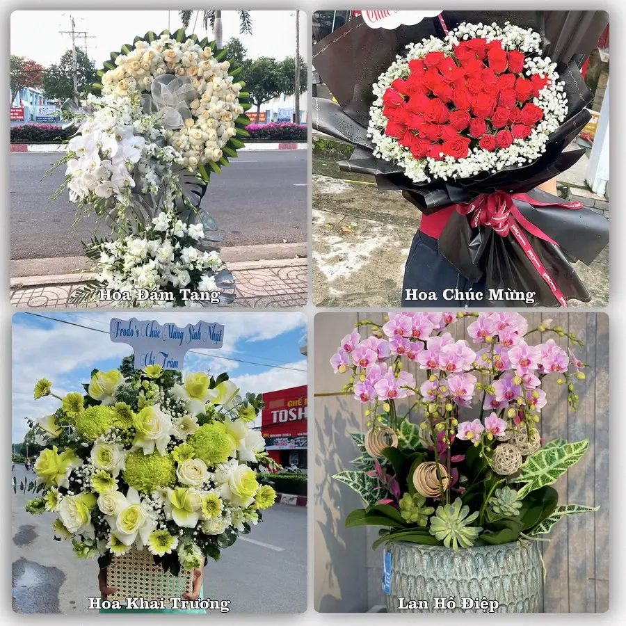 Tư vấn chọn hoa theo người nhận và dịp tặng tại Xã Hưng Long - Thành phố Hồ Chí Minh