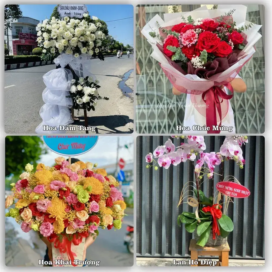 Dịch vụ đặt hoa và giao tận nơi tại Xã Long Hồ - Tỉnh Vĩnh Long