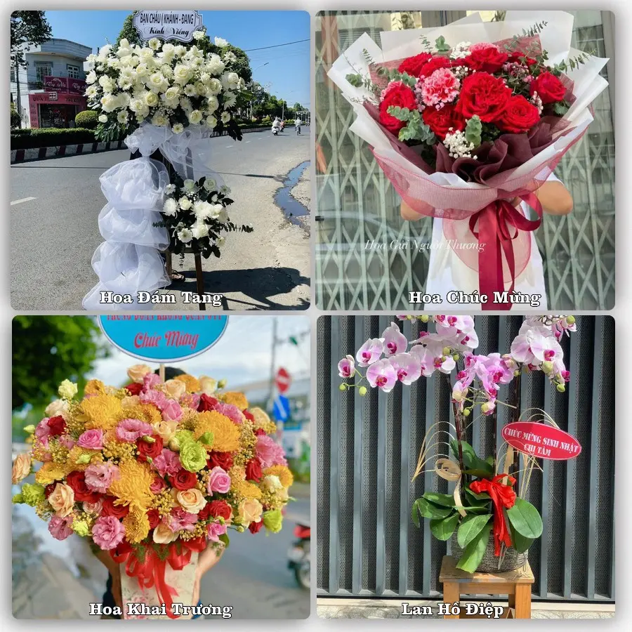 Dịch vụ đặt hoa và giao tận nơi tại Xã Long Hồ - Tỉnh Vĩnh Long