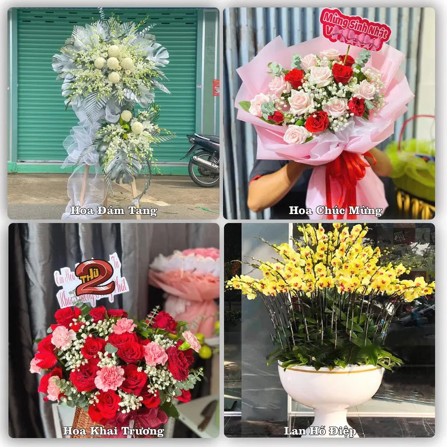 Tư vấn chọn hoa theo người nhận và dịp tặng tại Xã Long Hồ - Tỉnh Vĩnh Long