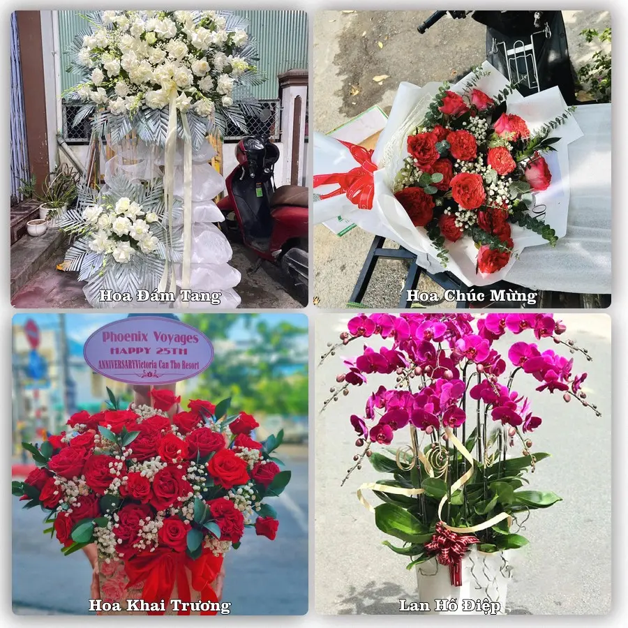 Tư vấn chọn hoa theo người nhận và dịp tặng tại Xã Lục Nam - Tỉnh Bắc Ninh