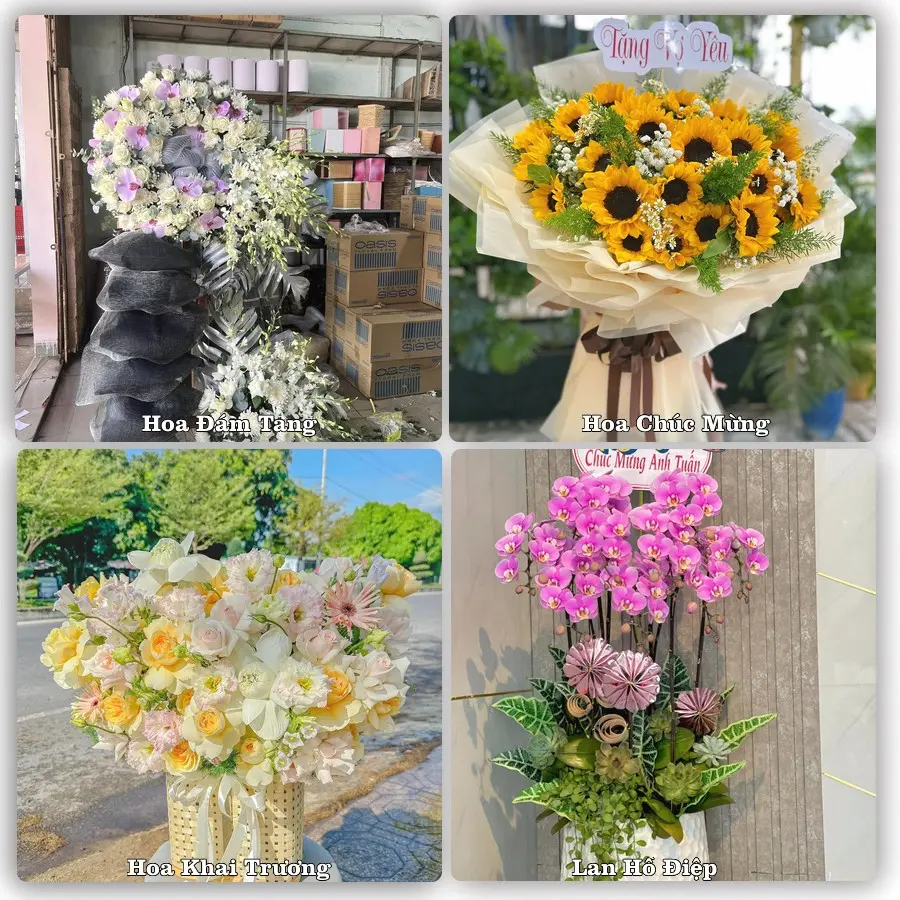 Mẫu hoa phục vụ nhu cầu đặt hoa tại Phường Lý Văn Lâm - Tỉnh Cà Mau