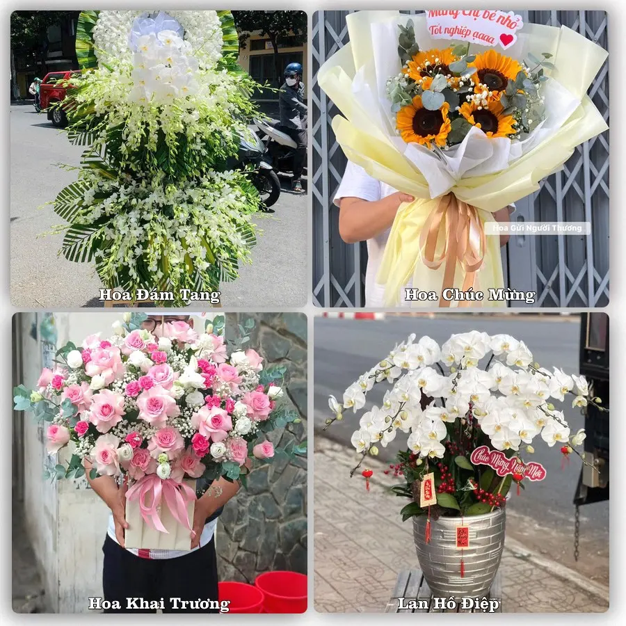 Tư vấn chọn hoa theo người nhận và dịp tặng tại Phường Lý Văn Lâm - Tỉnh Cà Mau