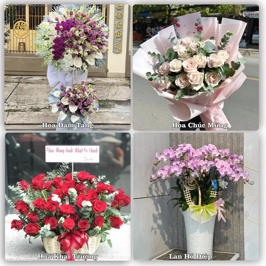 Tư vấn chọn hoa theo người nhận và dịp tặng tại Phường Nam Đồ Sơn - Thành phố Hải Phòng