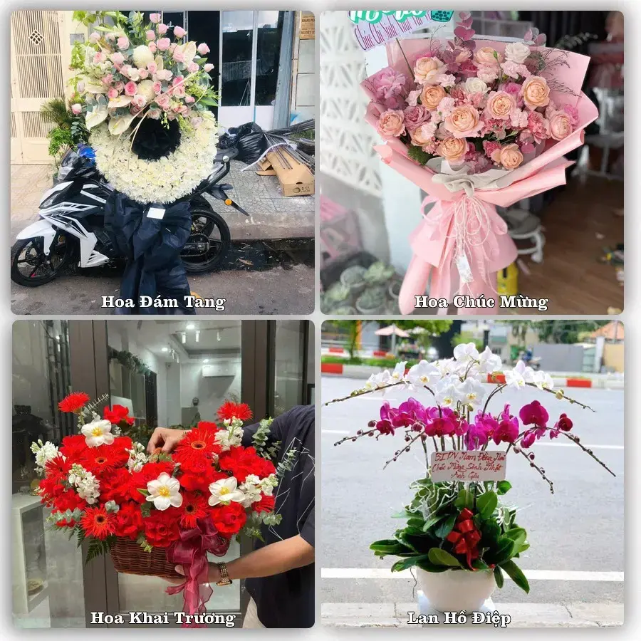 Shop hoa tươi Xã Phú Tân, An Giang – đặt hoa theo dịp, giao tận nơi