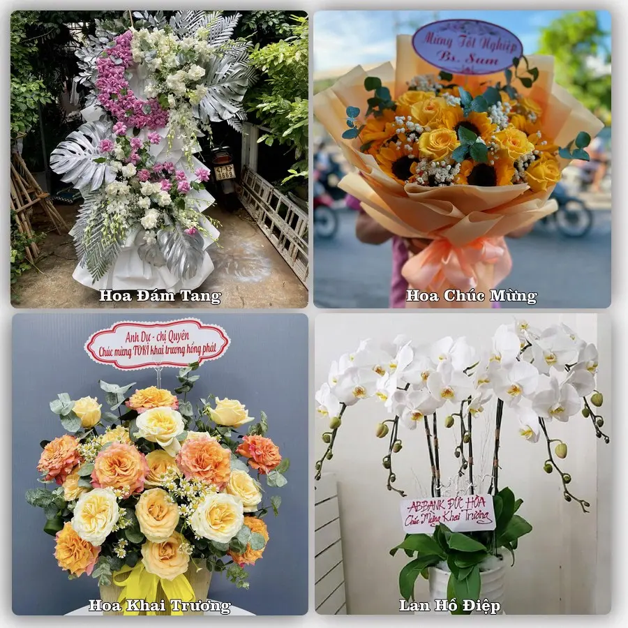 Tư vấn chọn hoa theo người nhận và dịp tặng tại Xã Phú Tân - Tỉnh An Giang