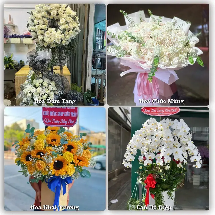 Tư vấn chọn hoa theo người nhận và dịp tặng tại Phường Phước Bình - Tỉnh Đồng Nai