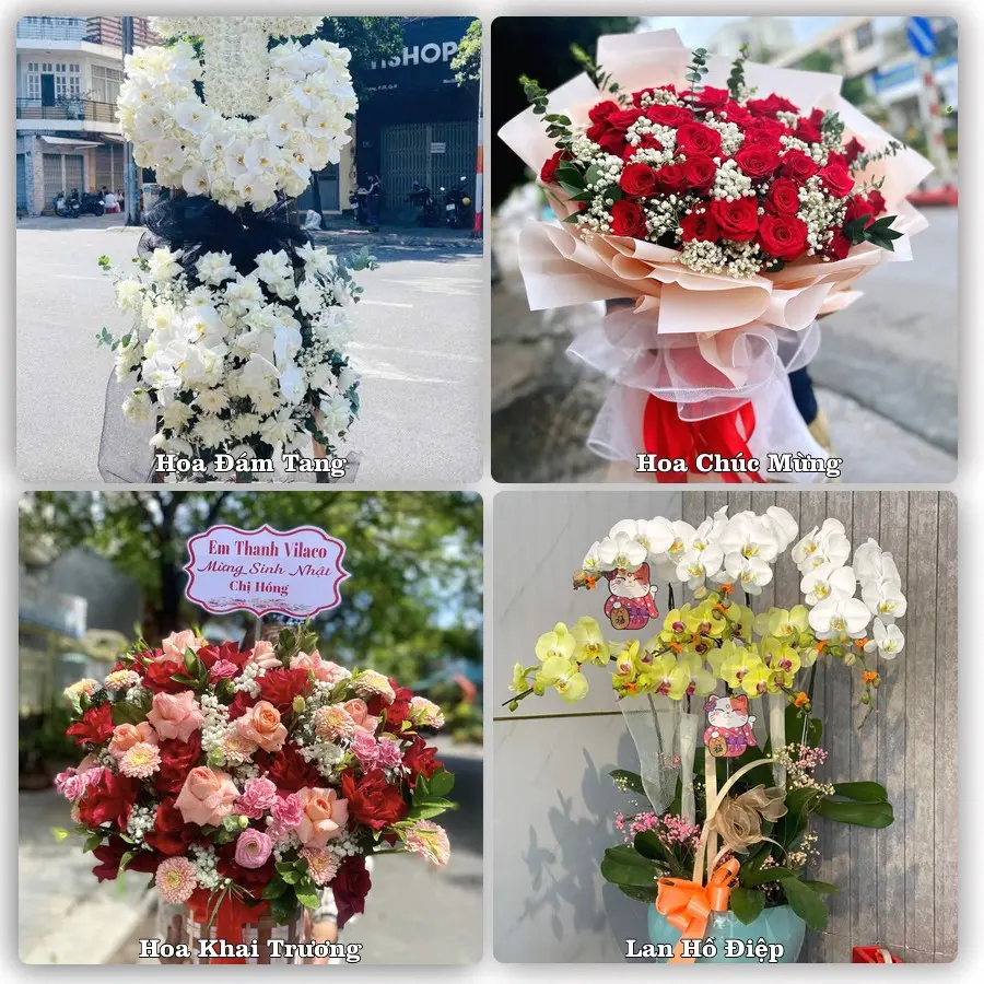 Mẫu hoa phục vụ nhu cầu đặt hoa tại Phường Quan Triều - Tỉnh Thái Nguyên