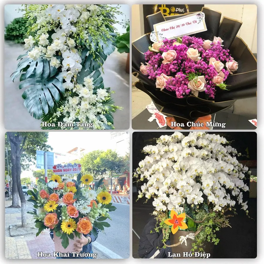 Tư vấn chọn hoa theo người nhận và dịp tặng tại Xã Tiên La - Tỉnh Hưng Yên