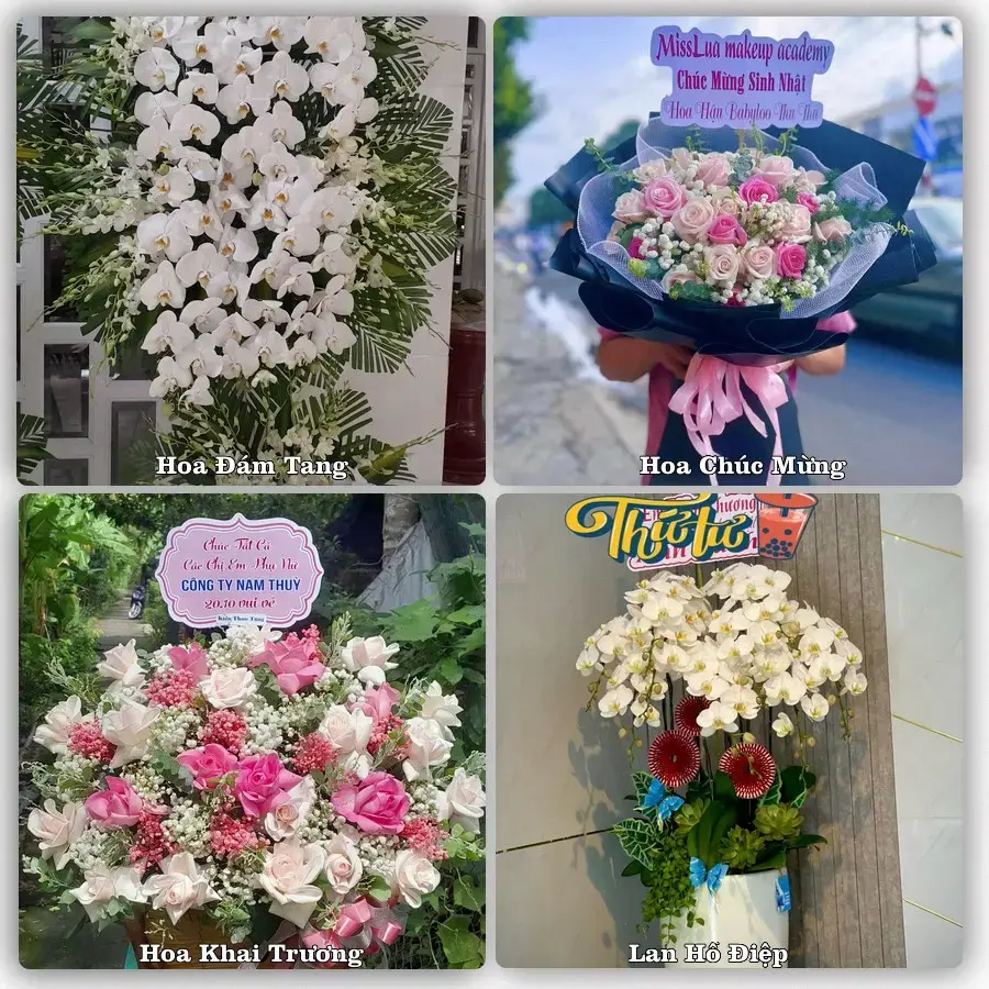 Mẫu hoa phục vụ nhu cầu đặt hoa tại Xã Xuân Phú - Thành phố Đà Nẵng