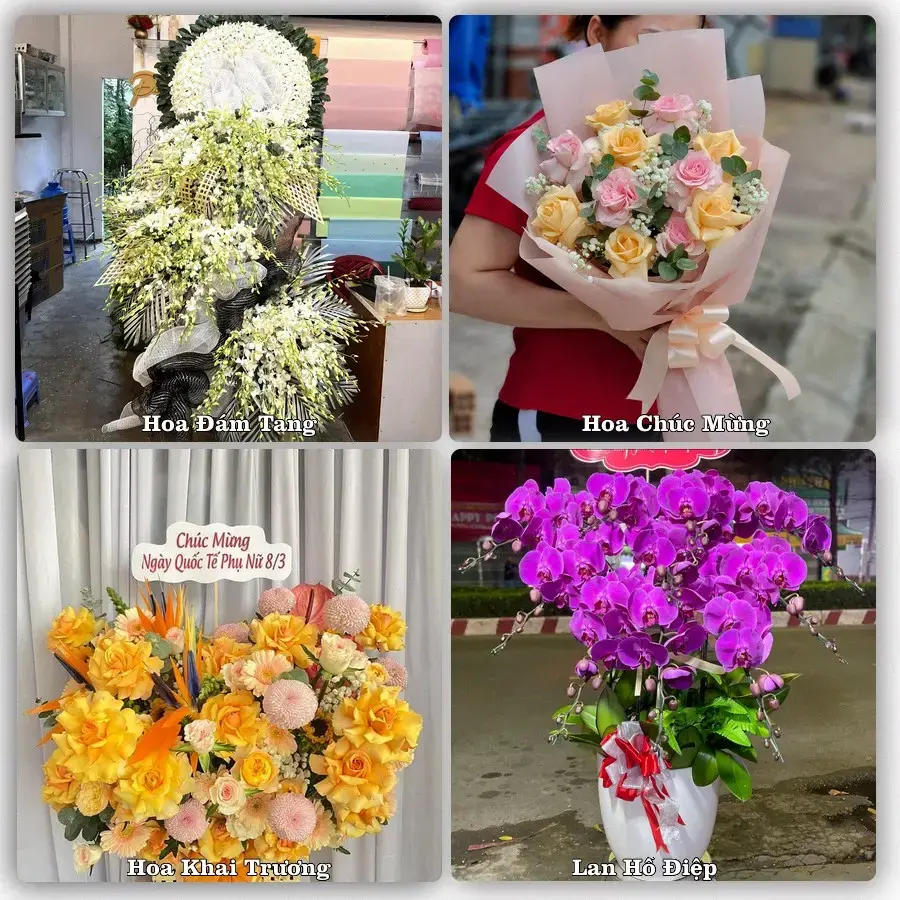 Tư vấn chọn hoa theo người nhận và dịp tặng tại Xã Xuân Phú - Thành phố Đà Nẵng