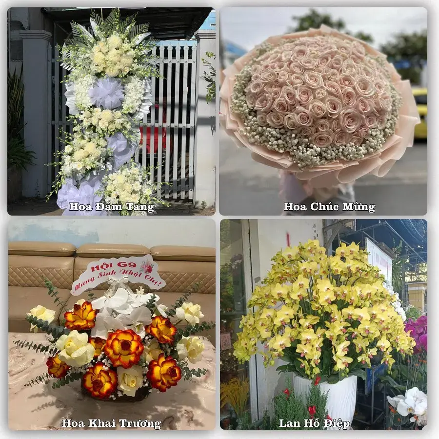 Tư vấn chọn hoa theo người nhận và dịp tặng tại Xã An Hữu - Tỉnh Đồng Tháp