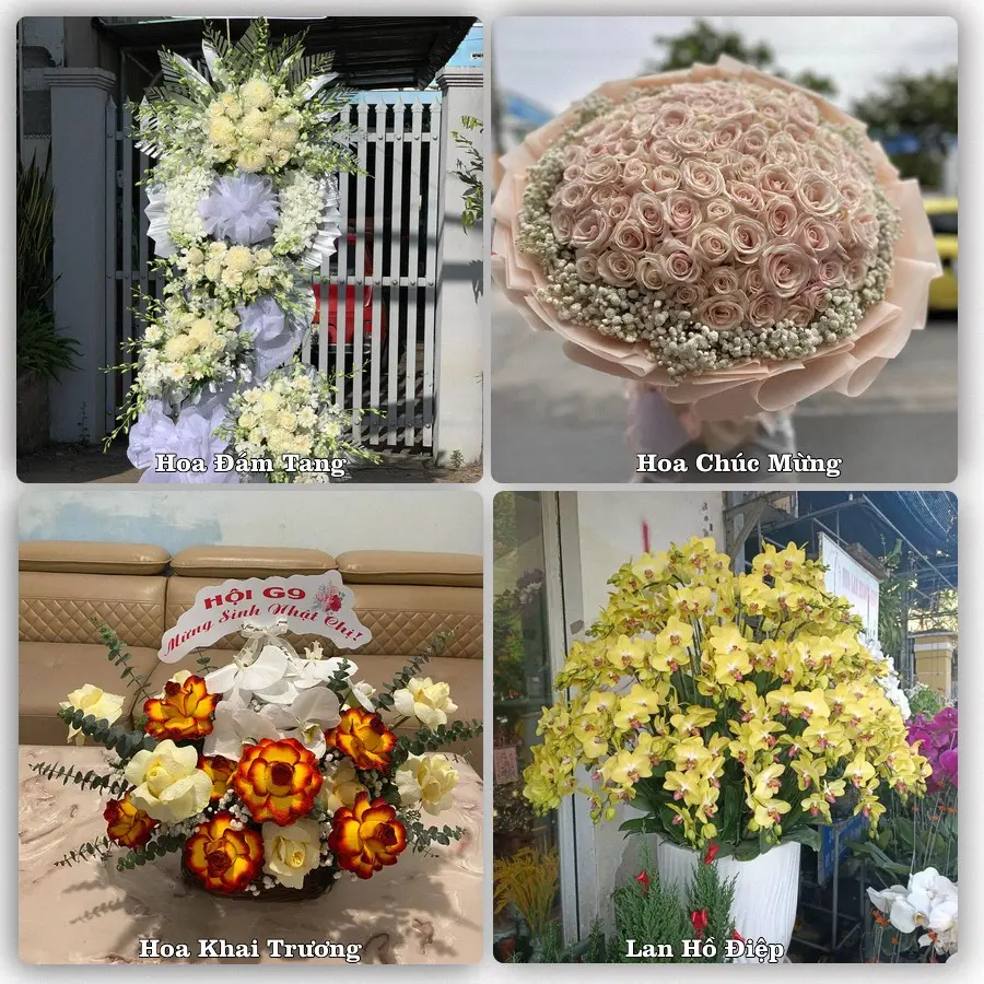 Tư vấn chọn hoa theo người nhận và dịp tặng tại Xã An Hữu - Tỉnh Đồng Tháp