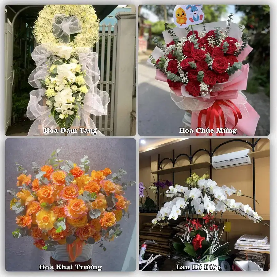 Mẫu hoa phục vụ nhu cầu đặt hoa tại Xã Chí Minh - Thành phố Hải Phòng