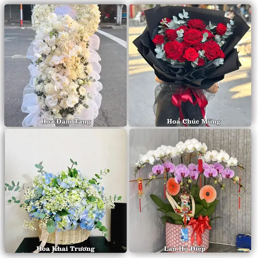 Tư vấn chọn hoa theo người nhận và dịp tặng tại Xã Chí Minh - Thành phố Hải Phòng