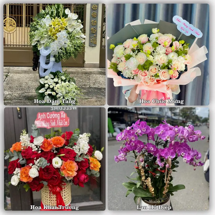 Tư vấn chọn hoa theo người nhận và dịp tặng tại Xã Hương Sơn - Thành phố Hà Nội
