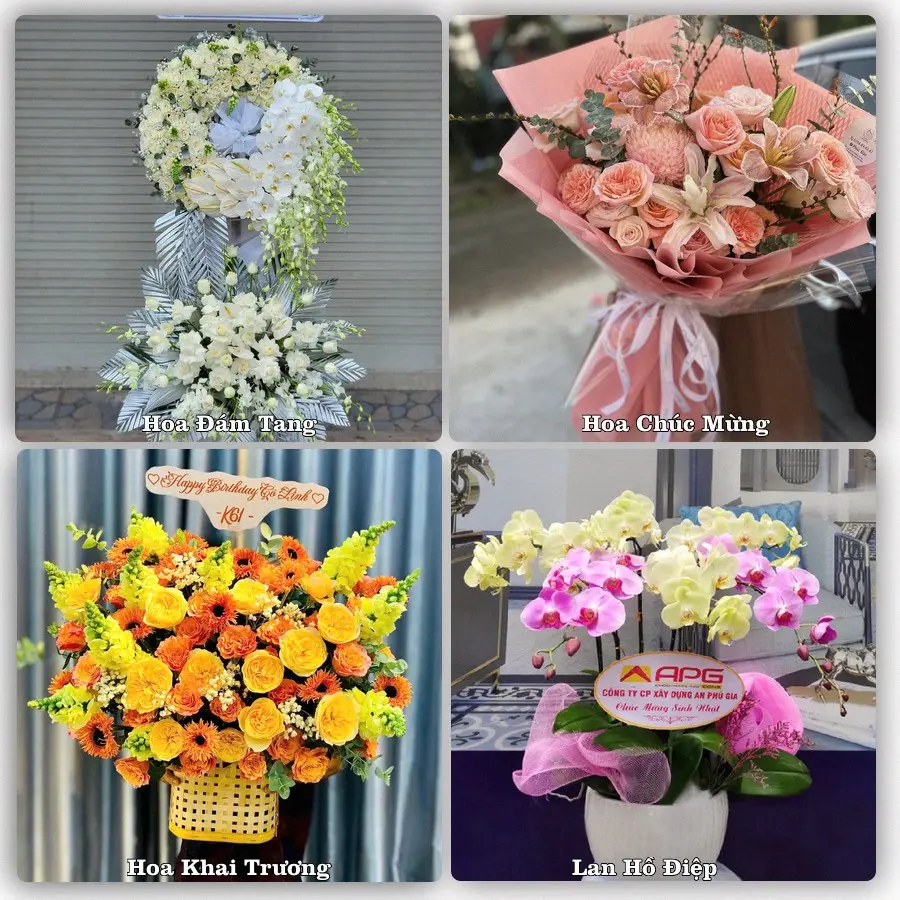 Tư vấn chọn hoa theo người nhận và dịp tặng tại Xã Kha Sơn - Tỉnh Thái Nguyên