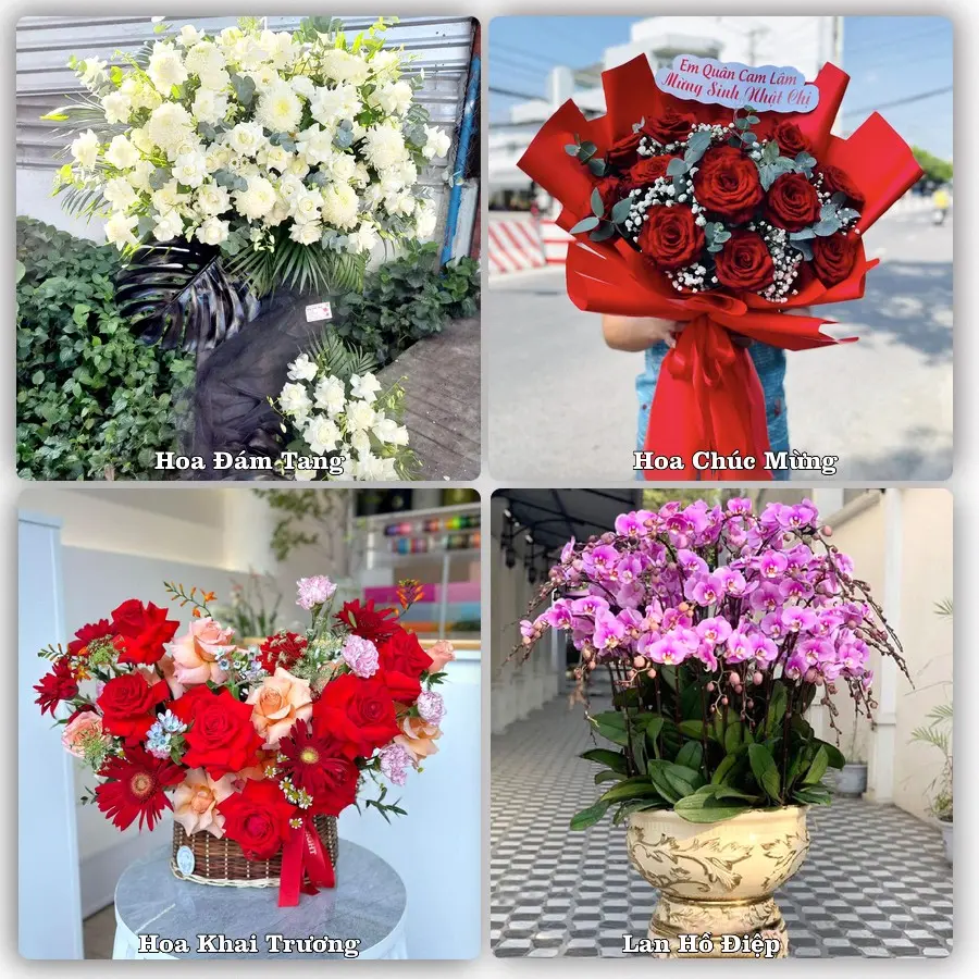 Dịch vụ đặt hoa và giao tận nơi tại Xã Mỹ Đức - Thành phố Hà Nội