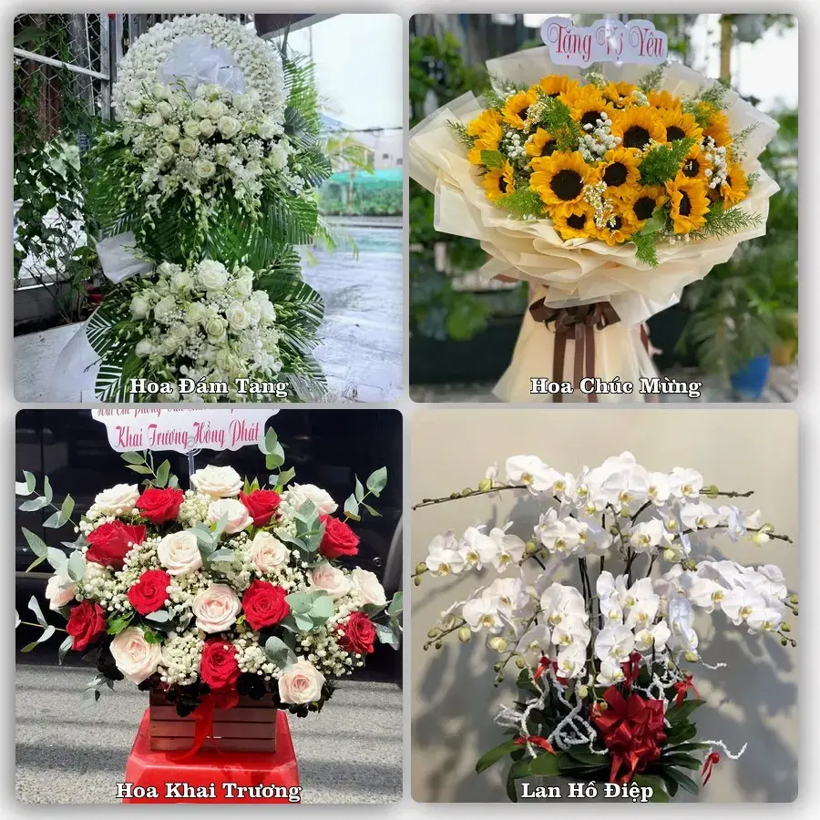 Shop hoa tươi Xã Mỹ Đức, Hà Nội – giao hoa tận nơi theo yêu cầu