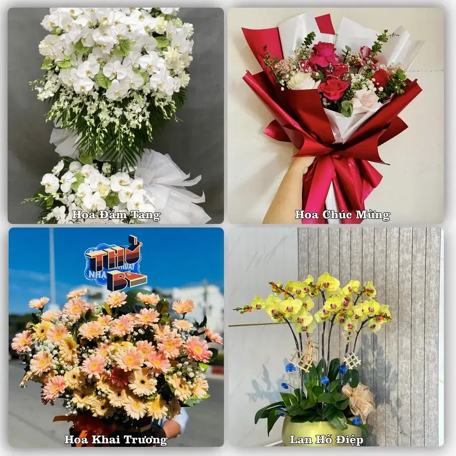 Tư vấn chọn hoa theo người nhận và dịp tặng tại Xã Mỹ Đức - Thành phố Hà Nội