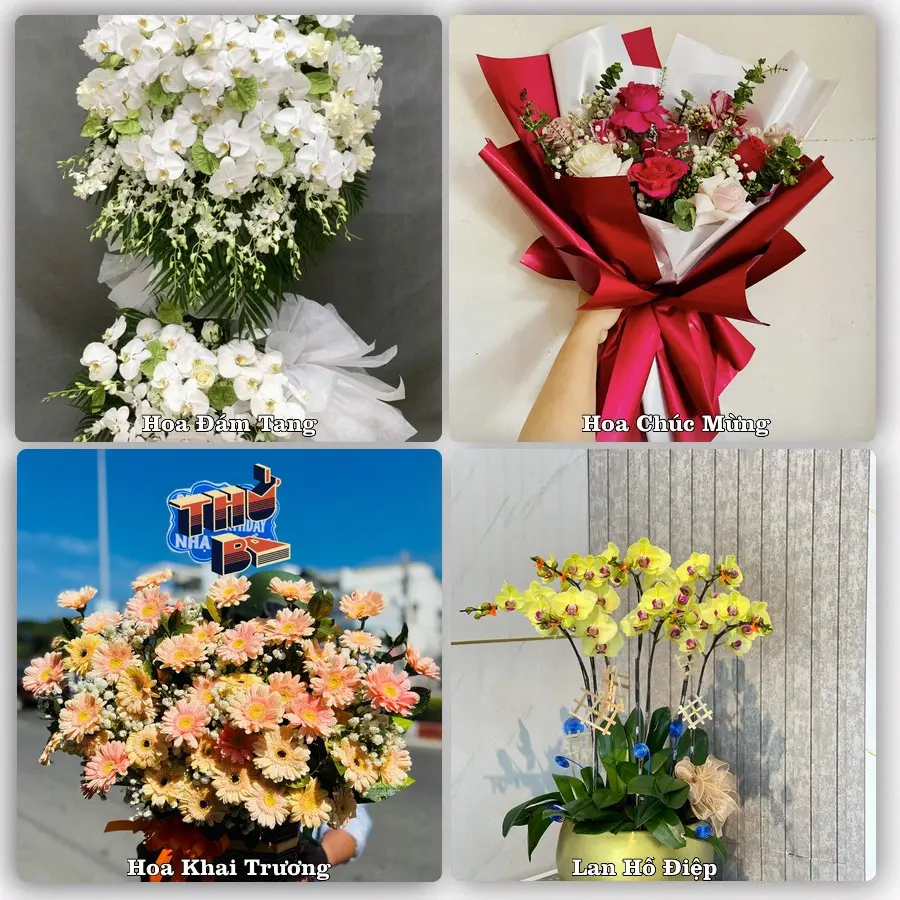 Tư vấn chọn hoa theo người nhận và dịp tặng tại Xã Mỹ Đức - Thành phố Hà Nội