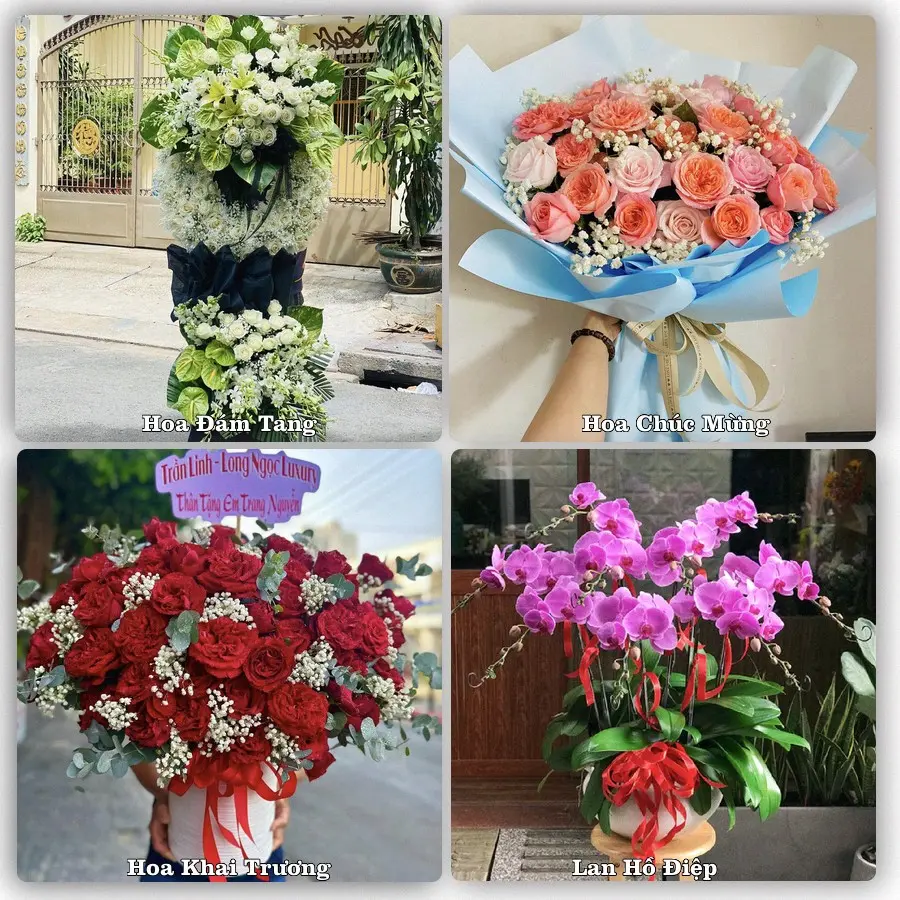 Tư vấn chọn hoa theo người nhận và dịp tặng tại Xã Phú Quới - Tỉnh Vĩnh Long