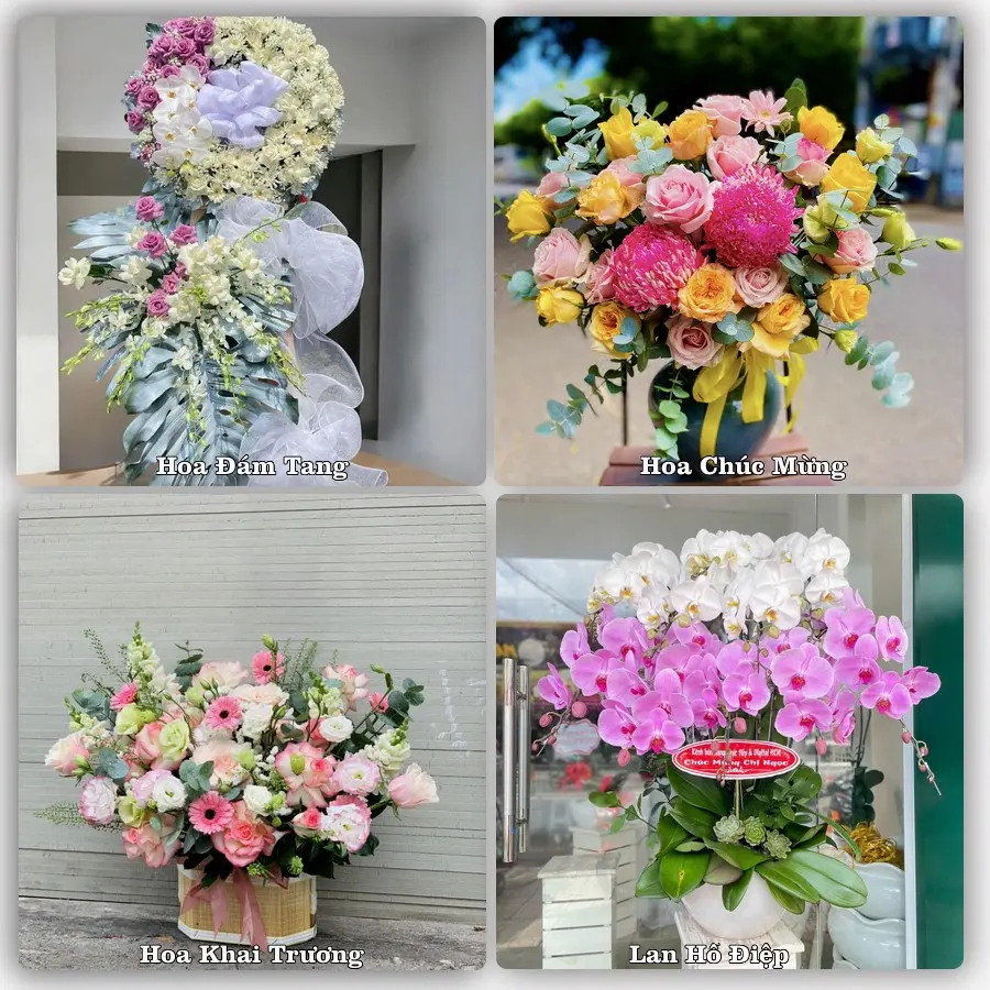 Mẫu hoa phục vụ nhu cầu đặt hoa tại Xã Phú Thái - Thành phố Hải Phòng