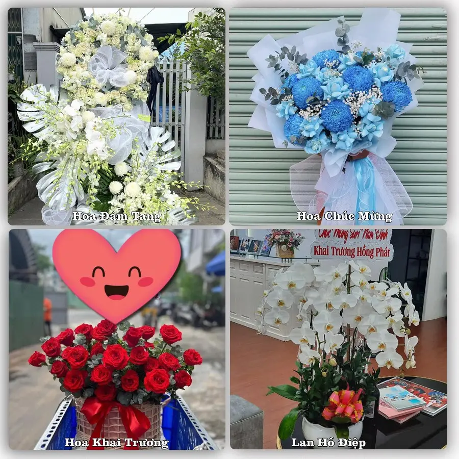 Tư vấn chọn hoa theo người nhận và dịp tặng tại Xã Phú Thái - Thành phố Hải Phòng
