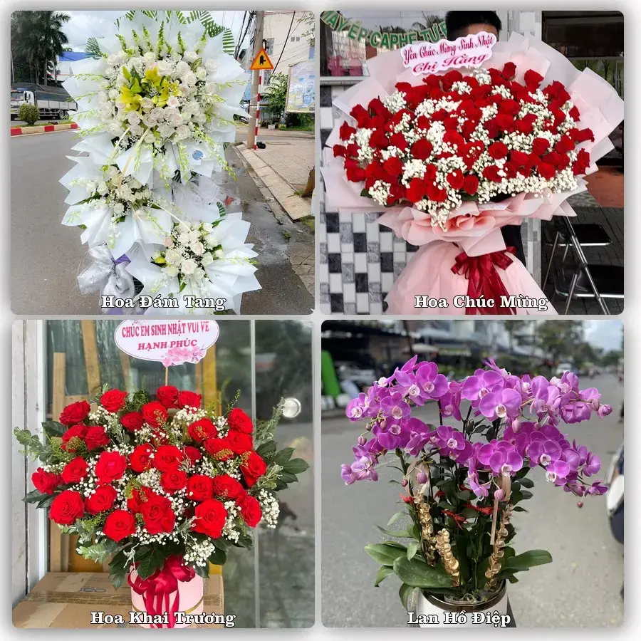 Dịch vụ đặt hoa và giao tận nơi tại Xã Tây Hòa - Tỉnh Đắk Lắk