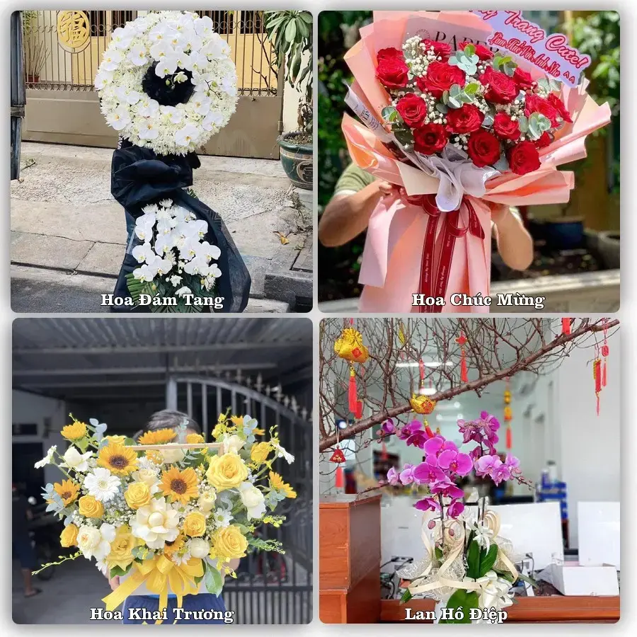 Mẫu hoa phục vụ nhu cầu đặt hoa tại Xã Tây Hòa - Tỉnh Đắk Lắk