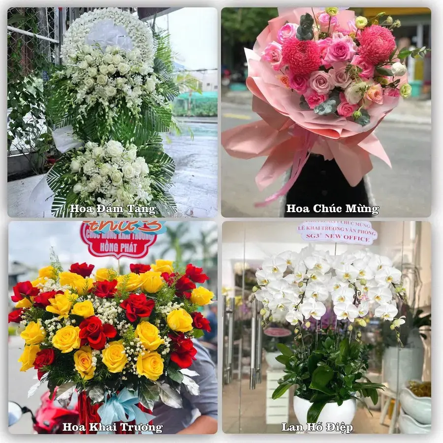 Tư vấn chọn hoa theo người nhận và dịp tặng tại Xã Tây Hòa - Tỉnh Đắk Lắk