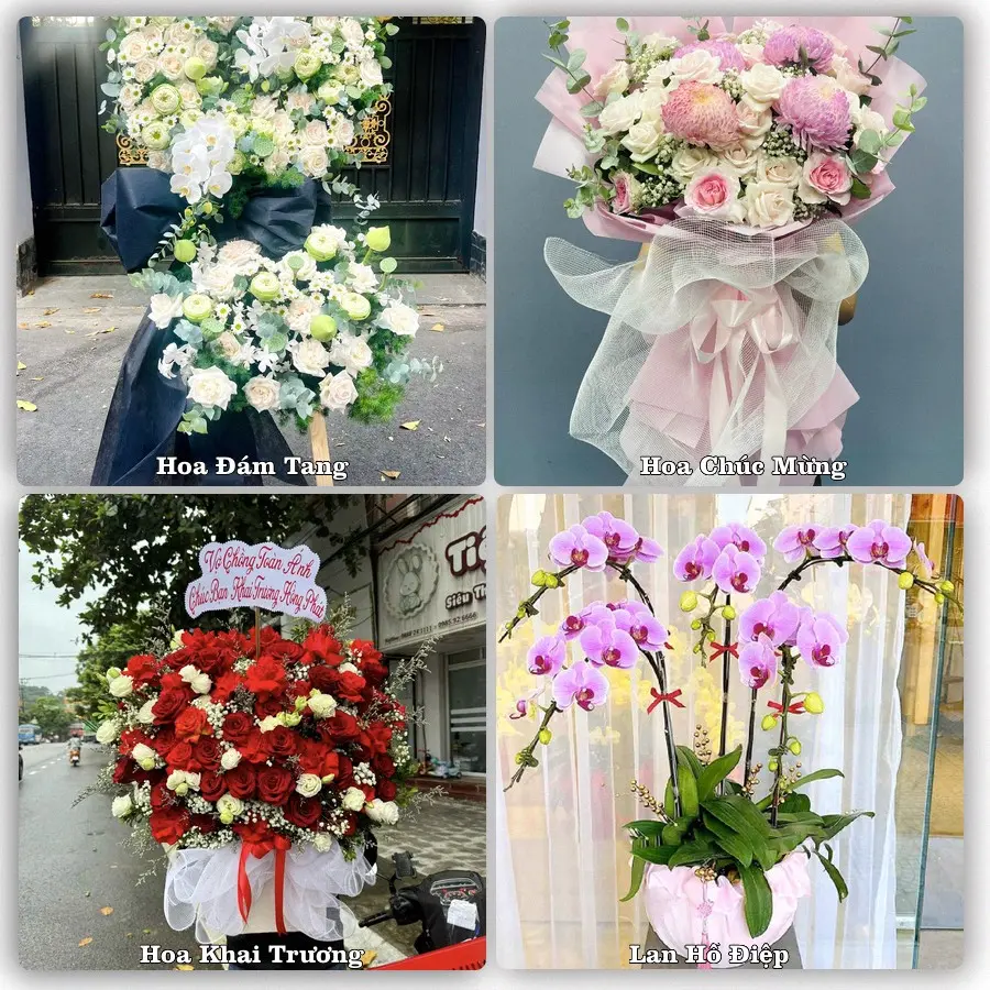 Dịch vụ đặt hoa và giao tận nơi tại Xã Tịnh Khê - Tỉnh Quảng Ngãi
