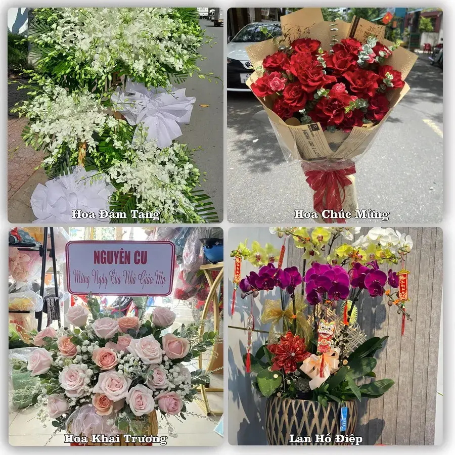 Shop hoa tươi Xã Tịnh Khê, Quảng Ngãi – giao hoa tận nơi theo yêu cầu