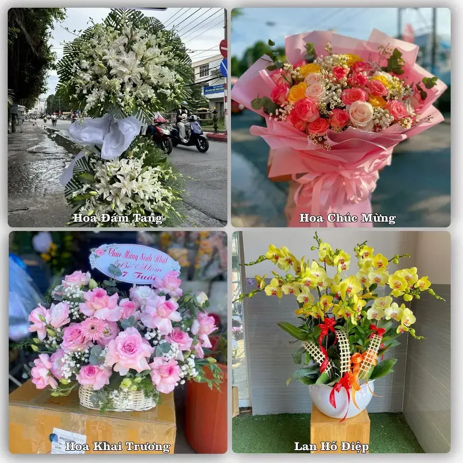 Tư vấn chọn hoa theo người nhận và dịp tặng tại Xã Tịnh Khê - Tỉnh Quảng Ngãi