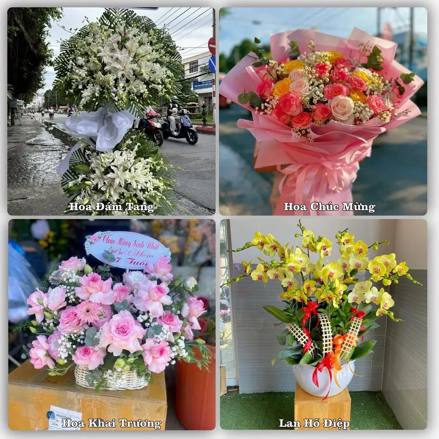 Tư vấn chọn hoa theo người nhận và dịp tặng tại Xã Tịnh Khê - Tỉnh Quảng Ngãi