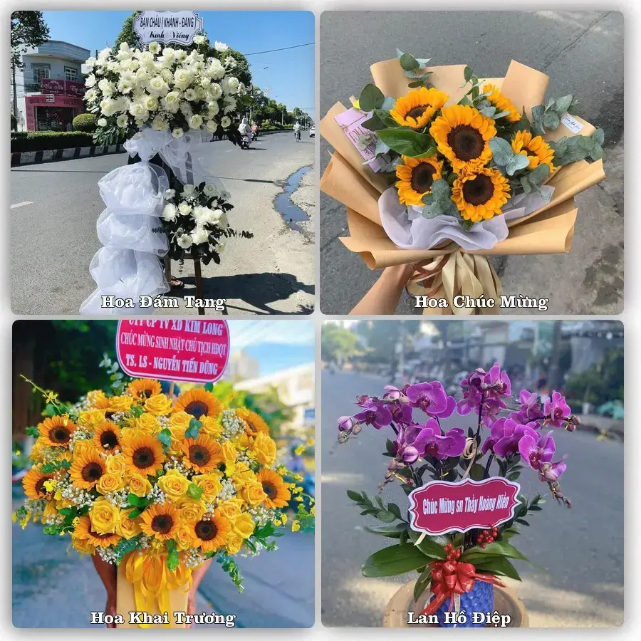 Shop hoa tươi Phường Vạn Xuân, Thái Nguyên – đặt hoa theo dịp, giao tận nơi