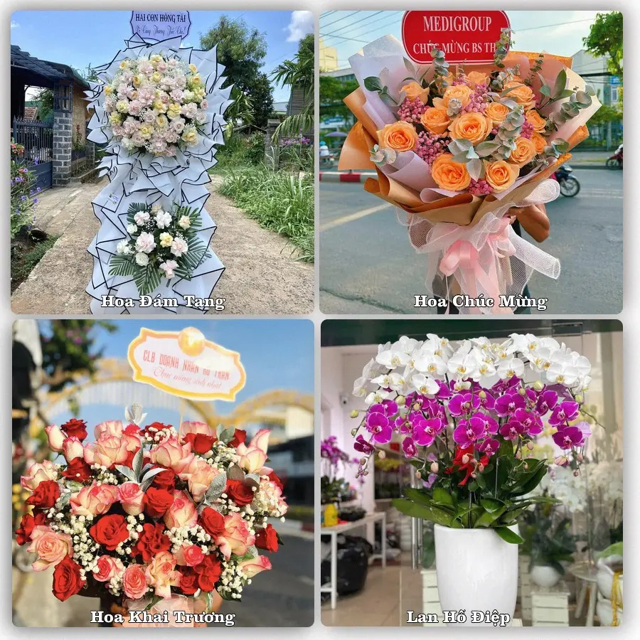 Tư vấn chọn hoa theo người nhận và dịp tặng tại Phường Vạn Xuân - Tỉnh Thái Nguyên