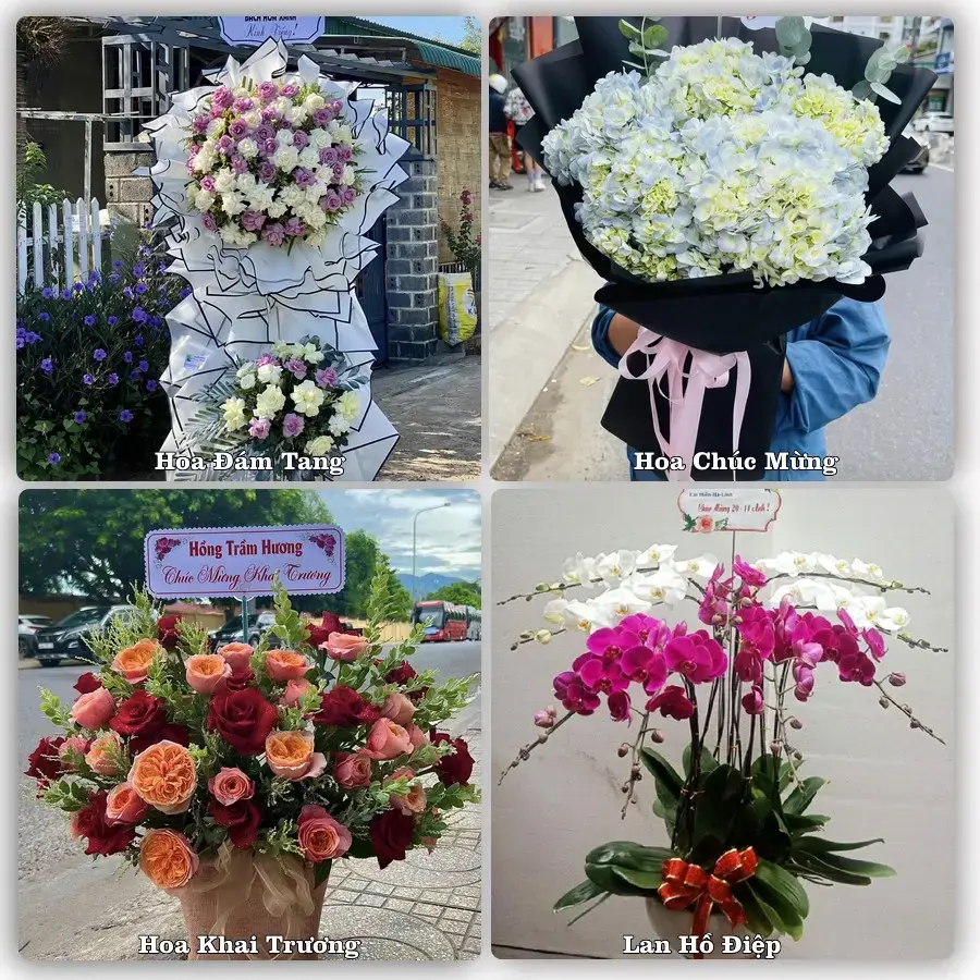 Shop hoa tươi Phường Bắc Nha Trang, Khánh Hòa – đặt hoa theo dịp, giao tận nơi