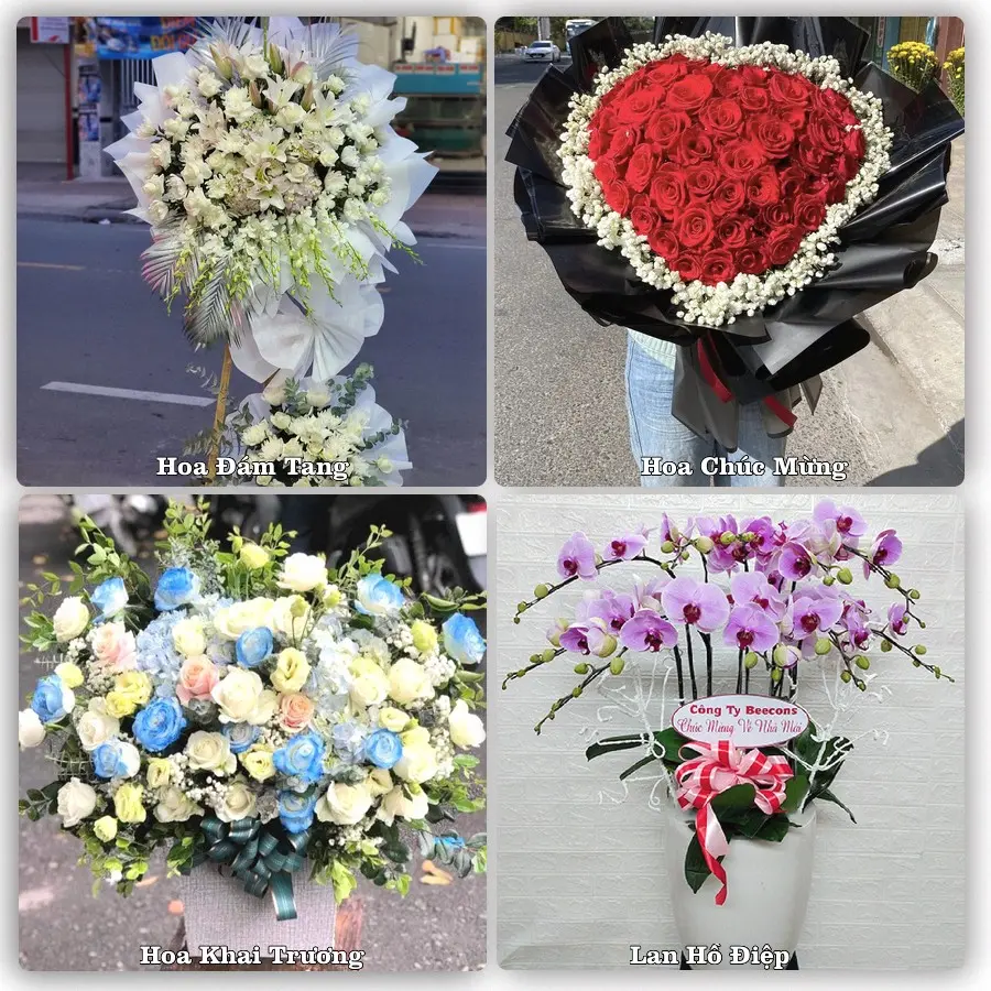 Tư vấn chọn hoa theo người nhận và dịp tặng tại Phường Bắc Nha Trang - Tỉnh Khánh Hòa