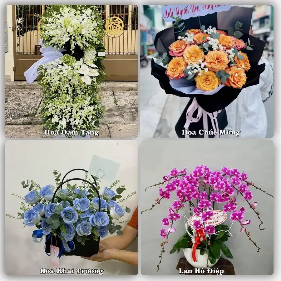 Đặt hoa tươi tại Xã Bình Nguyên, Phú Thọ – chọn mẫu theo ngân sách