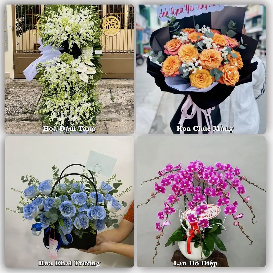 Mẫu hoa phục vụ nhu cầu đặt hoa tại Xã Bình Nguyên - Tỉnh Phú Thọ