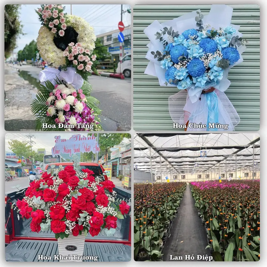 Tư vấn chọn hoa theo người nhận và dịp tặng tại Xã Bình Nguyên - Tỉnh Phú Thọ