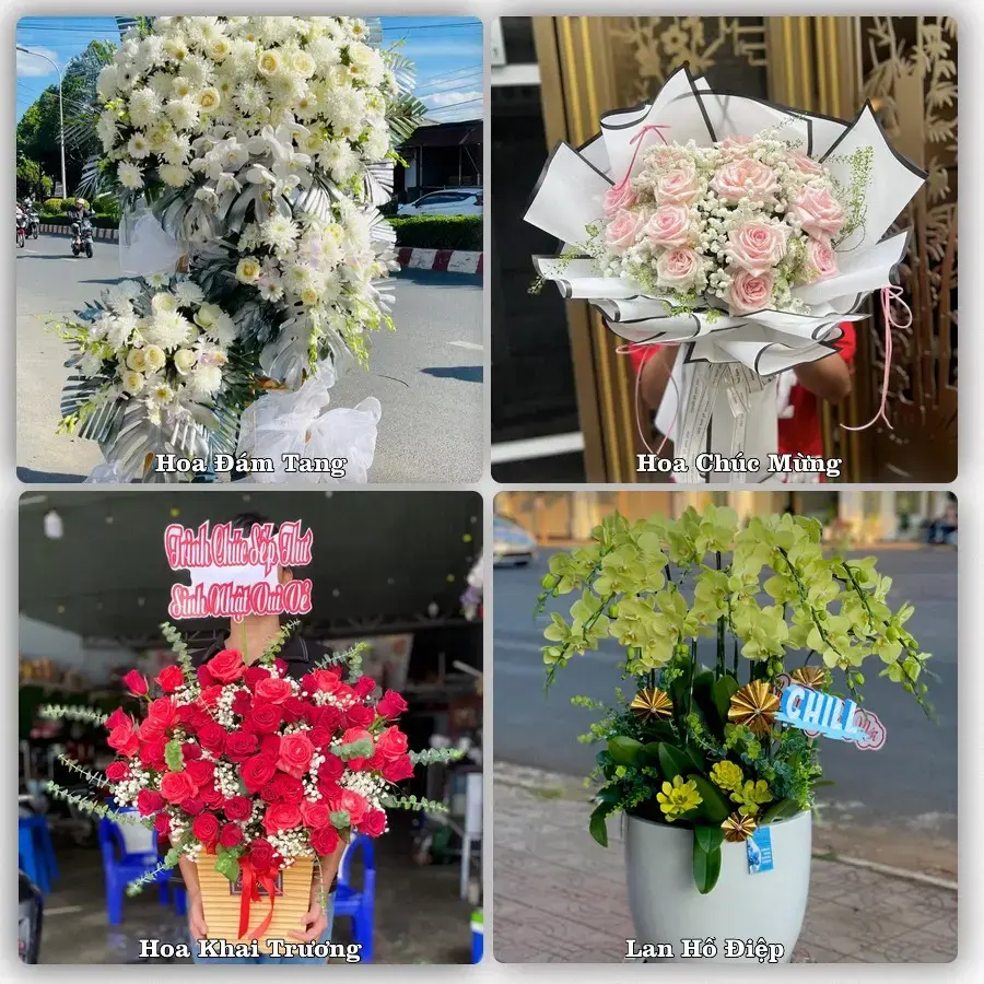 Đặt hoa tươi tại Xã Châu Thành, Tây Ninh – chọn mẫu theo ngân sách