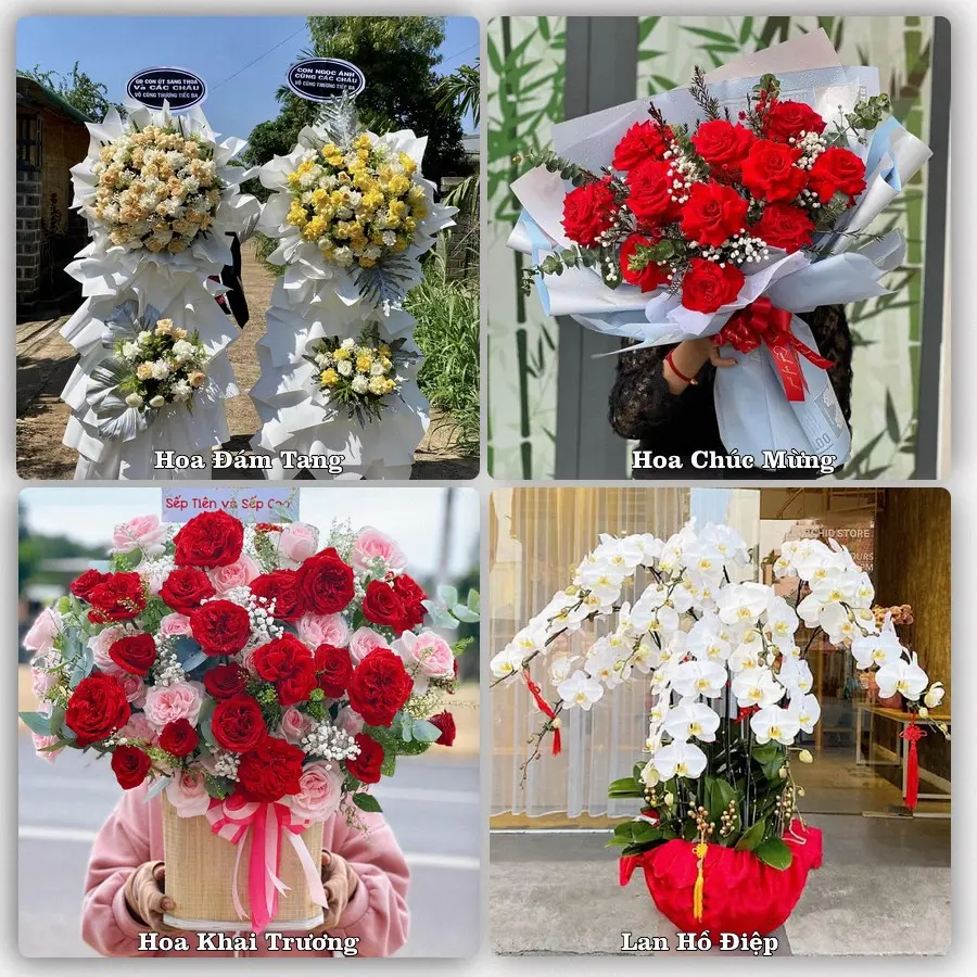 Tư vấn chọn hoa theo người nhận và dịp tặng tại Phường Đông Hải - Thành phố Hải Phòng