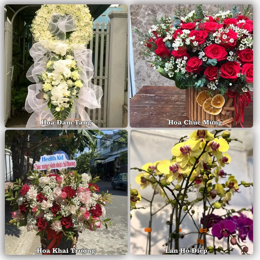Tư vấn chọn hoa theo người nhận và dịp tặng tại Phường Hồng Quang - Tỉnh Ninh Bình