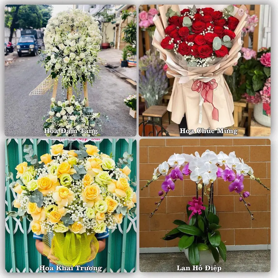 Tư vấn chọn hoa theo người nhận và dịp tặng tại Phường Kim Trà - Thành phố Huế
