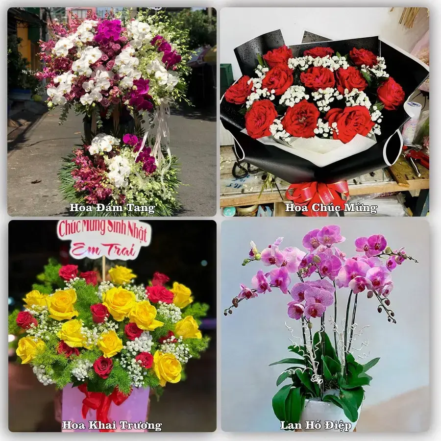 Đặt hoa tươi tại Xã Lâm Thao, Phú Thọ – chọn mẫu theo ngân sách