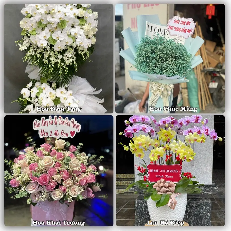 Mẫu hoa phục vụ nhu cầu đặt hoa tại Phường Mỹ Phong - Tỉnh Đồng Tháp